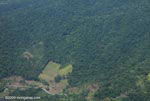 Aerial view of rainforest clearing for cattle pasture in Costa Rica
