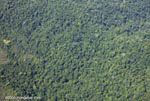 Aerial view of forest near Corcovado