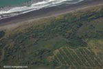 Aerial view of oil palm plantations in Costa Rica