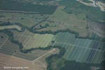 Overhead view of oil palm plantations in Costa Rica