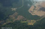 Aerial view of oil palm plantations and rainforest in Costa Rica