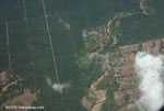 Aerial view of industrial oil palm plantations in Costa Rica