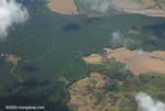Airplane view of industrial oil palm estates in Costa Rica