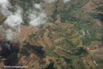 Aerial view of new oil palm plantations in Costa Rica
