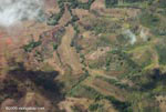 Airplane view of new oil palm plantations in Costa Rica