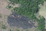 Burned field adjacent to a forest fragment