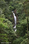 Waterfall in Arenal Hanging Bridges Private Reserve