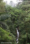 Waterfall in Arenal Hanging Bridges Private Reserve