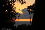 Sunset over the Pacific as seen through the Osa peninsula rainforest