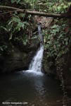 Waterfall on the property of el Remanso Lodge