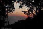 Sunset in the Costa Rican rainforest of the Osa Peninsula