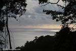 Shimmering Pacific and the Costa Rican rainforest