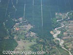 Industrial oil palm in Costa Rica