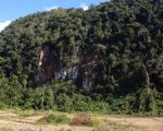 Karst forest in Laos
