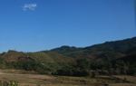 Hillside plantation in Laos