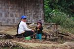 Hmong mother weaving straw thatch