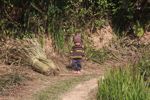 Litle boy near rice field