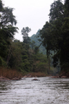 Nam Tha River