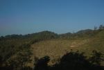 Deforestation in Laos