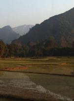Green rice fields and limestone karst mountains in Udomxai province