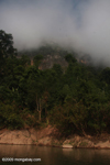Fog clearing over forest along the Nam Ou river
