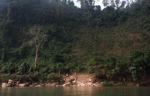 Deforestation along the Nam Ou river