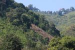 Hillside deforestation