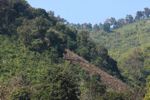 Hillside deforestation