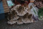 Garlic bunches in the Luang Prabang morning market