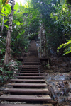 Stairs leading to the top of Tad Kwang Si waterfall near Luang Prabang