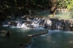 Creek below Tad Kwang Si waterfall