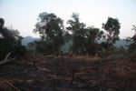 Slash-and-burn in Laos