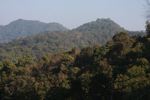 Nam Et-Phou Louey Rainforest