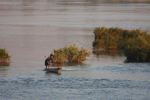 Throw net fishing on the Mekong