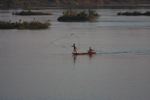 Throw net fishing on the Mekong