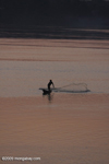 Throw net fishing at sunrise in the 4000 islands section of the Meking