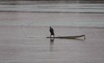 Mekong fisherman using a throw net