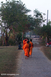 Giving of alms to monks in Muang Khong