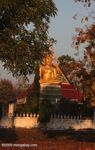Wat Kan Khong at daybreak