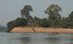 Riverbank of the Mekong