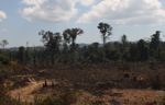 Total destruction of rainforest in Laos