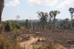 Severe deforestation in Laos