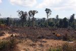 Deforestation in southern Laos