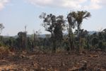 Deforestation in southern Laos