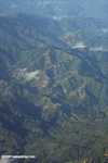 Aerial view of logging roads in Borneo