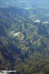 Aerial view of logging roads in Borneo