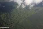 Aerial view of an oil palm plantation and a heavily logged natural forest