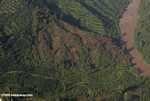 Deforestation for oil palm