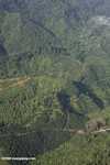 Oil palm plantations in Malaysian Borneo