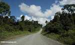 Logging road in Borneo